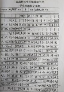 玩轉魔方作文,玩轉暑假作文,玩轉游樂(lè )場(chǎng)作文