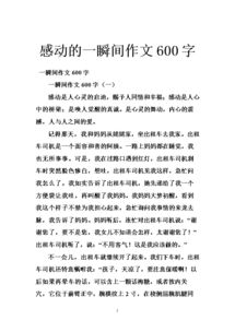 偶遇溫暖作文初中作文,溫暖作文650字初中作文,溫暖的那一刻作文600字初中作文