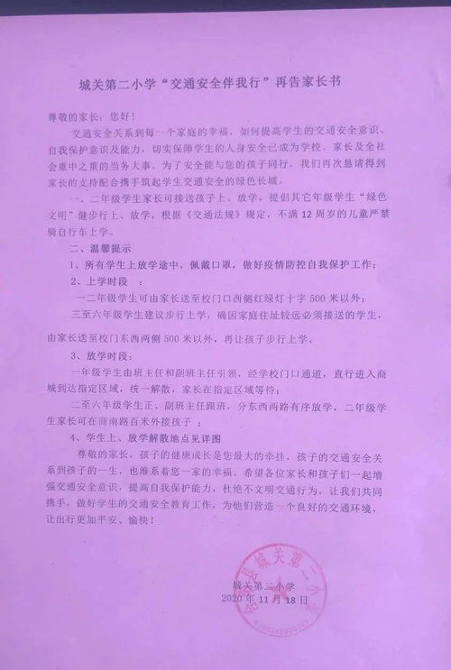 城關二小校園作文