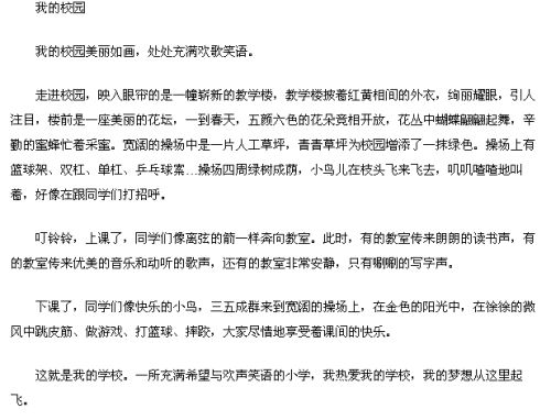 快樂的校園作文四級