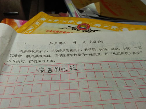 我的校園真美三年級作文三百字,我的校園三百至三年級的作文,我的校園作文三百字的三年級作文怎么寫