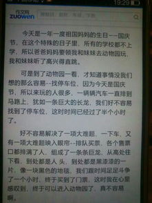 校園藝術(shù)節(jié)場(chǎng)面描寫(xiě)作文600字,藝術(shù)節(jié)場(chǎng)面描寫(xiě)作文400字,難忘的校園藝術(shù)節(jié)作文800字