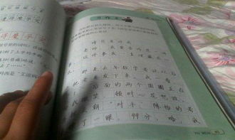 關于校園的作文題目自擬,關于綠色校園作文題目自擬,以校園為主題的作文題目自擬