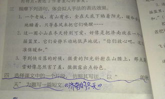 作文,個字,放學(xué),校園