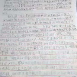 校園大變化作文1000字
