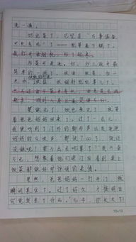 愛(ài)我校園感恩奉獻作文6