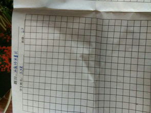 寫(xiě)校園欺凌的作文500字