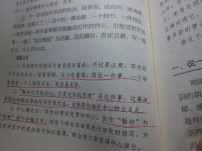 走去校園的作文600字