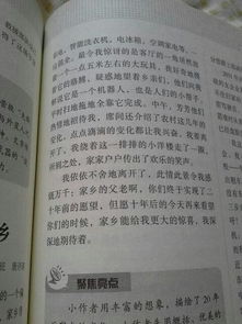 作文,未來(lái),校園
