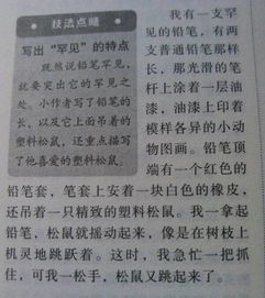 小賣部,作文,校園