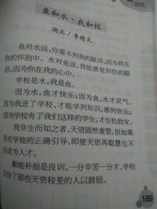 作文,提綱,校園里