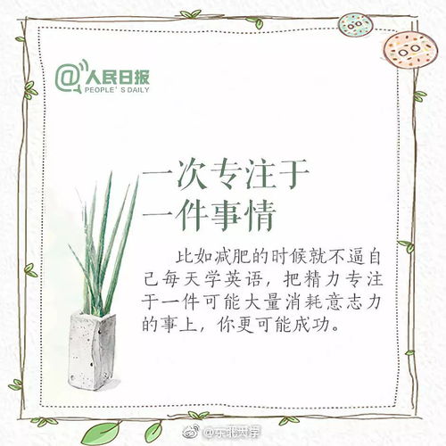 來自校園的美好作文,校園里的什么作文500字,校園里的什么樹作文300個(gè)字