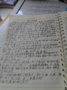 小學校園作文400字作文400字作文400字