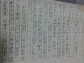 戲曲進校園作文40O字
