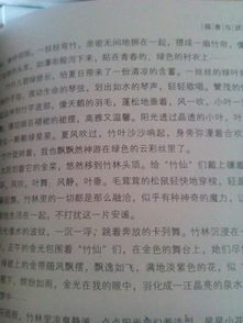作文,歡樂時光,校園