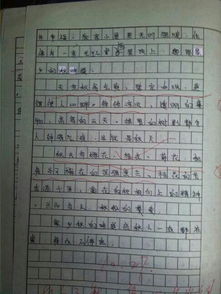 作文,校園里,大學(xué)