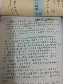 作文,山楂,校園
