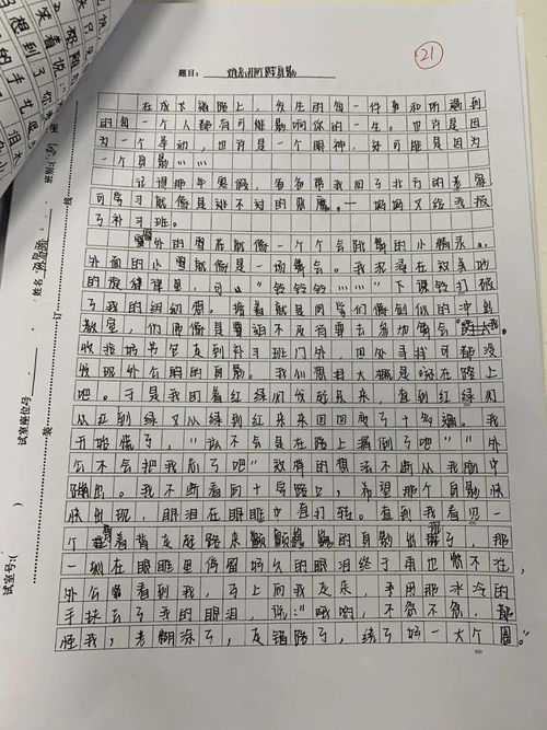 溫暖的校園的作文600字初一作文開(kāi)頭和結尾
