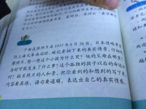 校園美食節作文400字左右,校園美食節作文300字,校園美食節作文500字獲獎