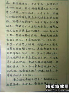 作文《校園活動(dòng)300字》