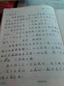 關(guān)于校園的作文十篇