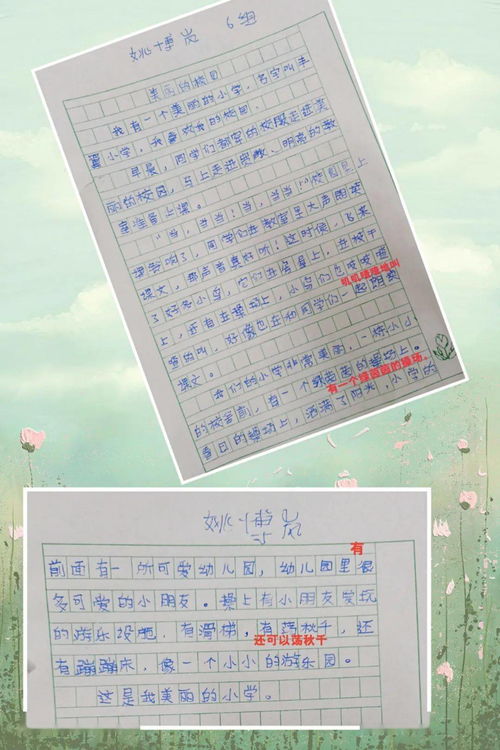 作文,校園,活動(dòng),快樂