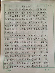 在校園里的快樂400字作文六級