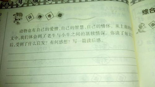 金子校園的景色作文250字