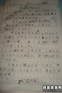 作文,運(yùn)動會,寫一篇,校園
