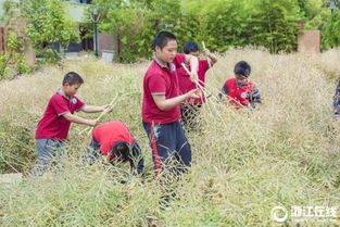 參觀(guān)校園農耕園作文