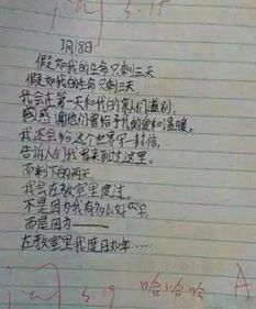 小學(xué)作文寫校園里感動(dòng)人心的事情