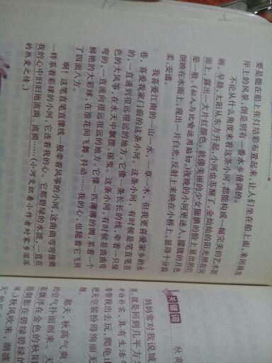難忘家鄉的校園作文400字左右