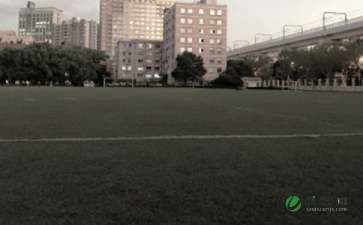 作文,操場(chǎng),校園