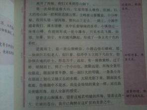 描寫(xiě)校園春夏秋冬三段式的作文