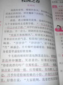 美在校園600字作文
