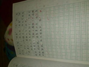 難忘的一件事在校園里難忘的一件事作文,關于校園的難忘的一件事作文六年級,校園中難忘的一件事作文