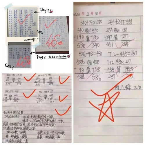 寫(xiě)安陽(yáng)第一實(shí)驗(yàn)小學(xué)校園的作文
