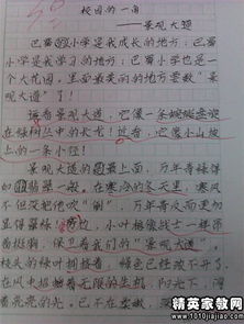 正青春校園美記敘作文