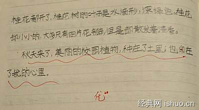 秋天的校園作文600字,秋天的校園作文300字,秋天的校園300字作文三年級