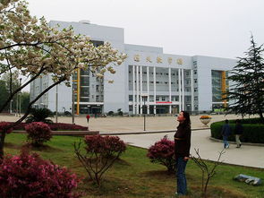 松原,作文,大學校園,美景