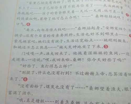 作文文明校園500字左右