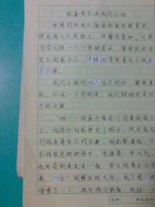 校園往事作文400字,難忘的校園往事作文,校園往事六年級作文