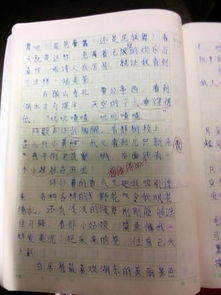 校園一景操場200字作文初中,初中校園作文200字,初中校園廣播稿200字
