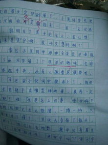 春雨,作文,鳥兒,校園