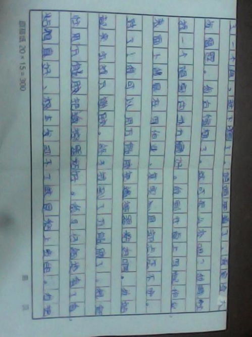 校園難忘趣事寫(xiě)200字作文
