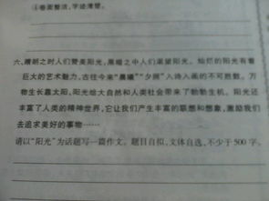 校園里的苦500字作文初