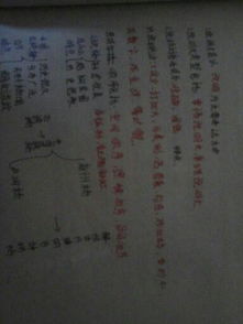 空間順序說(shuō)明文校園的作文300字