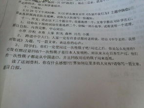 作文,描寫,校園