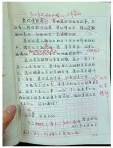 初二作文校園新聞有標(biāo)題有背景