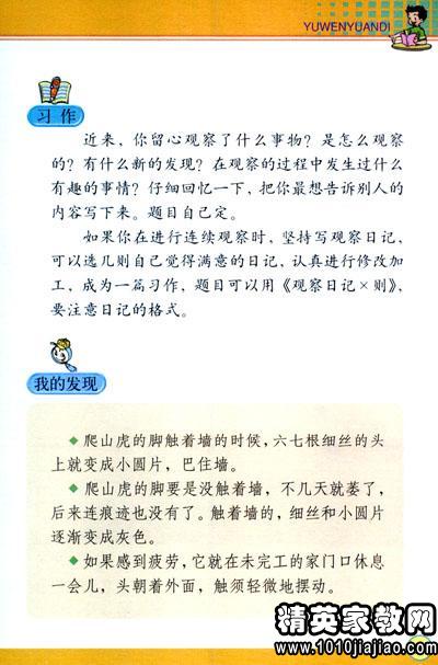 校園觀(guān)察日記300字四級作文